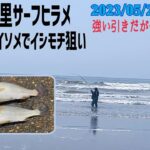 サーフヒラメと投げ釣りでイシモチ狙い【九十九里浜】5月22日。