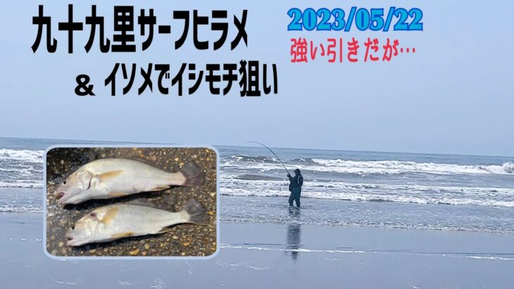 サーフヒラメと投げ釣りでイシモチ狙い【九十九里浜】5月22日。