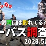 【5月中旬シーバス調査】#93 あの人気河口は釣れてる？