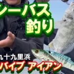 【シーバス釣り 】レンジバイブ 70 アイアンを使ってシーバスGetを目指す千葉県九十九里浜でヒラメやシーバス を狙う