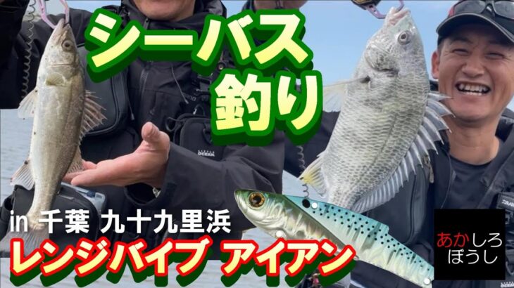 【シーバス釣り 】レンジバイブ 70 アイアンを使ってシーバスGetを目指す千葉県九十九里浜でヒラメやシーバス を狙う