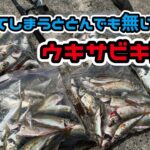 釣れすぎウキサビキ釣り!!シンプルの中に奥深いサビキ釣り!!淡路島編[86まい］