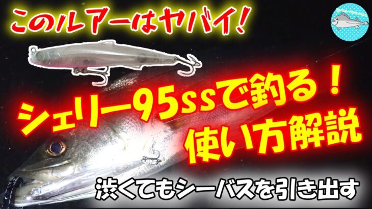 【シーバス】シェリー95ssで釣る！ハクパターン実釣攻略とルアーの使い方解説してみました