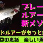 遂に公開！！「アイビーリトリーブ」とは？難攻不落あのマイクロベイトにも効く！！シーバス　ヒラメ　青物　マゴチ　ハクパターン　稚鮎パターン　BlueBlue　メタルシャルダス　ブルーブルー