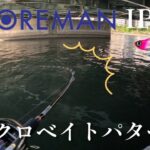 【COREMAN IP-10】マイクロベイトパターンで釣れない人は見てください。