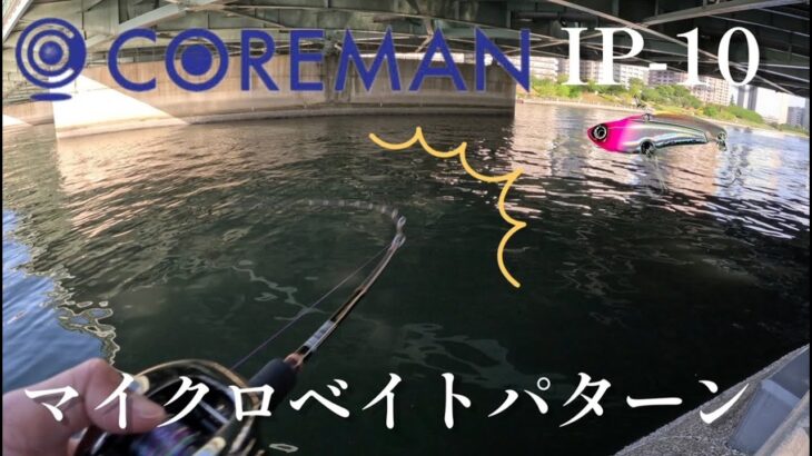 【COREMAN IP-10】マイクロベイトパターンで釣れない人は見てください。