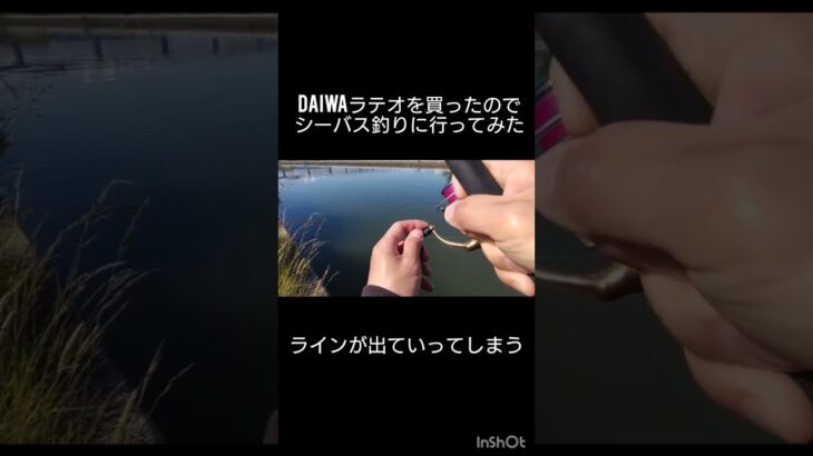 【釣り】DAIWAラテオを買ったのでシーバス釣りに行ってみた