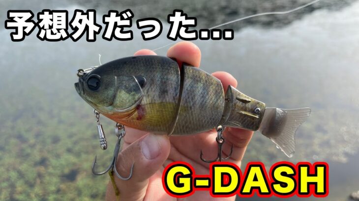 【バス釣り】G-DASH（レイドジャパン）のインプレ!!使い方やウェイト調整・他社連結製品との違いを使用比較してみた【RAID JAPAN 2023 New Product】G-DASH[金森 隆志]