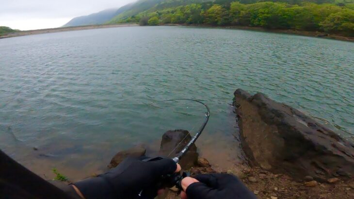 連休中(GW)にデカバスを釣るなら… 絶対にコレが最強です「５月のバス釣り」「野池」「初心者」