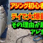 そして釣ったアジを泳がせたら大型イカ＆青物がHIT【アジが釣れたら泳がせた方が倍オイシイ!!】