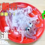 北海道旅行！函館朝市でイカ釣り！テンション崩壊！Hokkaido trip! Squid fishing at Hakodate morning market! Tension collapse!