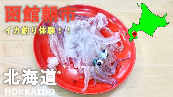 北海道旅行！函館朝市でイカ釣り！テンション崩壊！Hokkaido trip! Squid fishing at Hakodate morning market! Tension collapse!