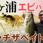 【バス釣り】How To 霞ヶ浦エビパターン！究極のマッチザベイト / 馬場拓也