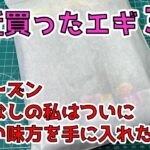 【最近買ったエギ３選】春アオリ終盤戦/このエギで釣る！/エビQも忘れてないよ