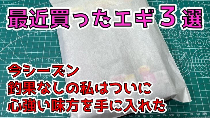 【最近買ったエギ３選】春アオリ終盤戦/このエギで釣る！/エビQも忘れてないよ