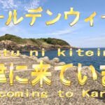 R5.5.3.佐賀県 唐津市 イカ釣り Squid fishing in Karatsu City, Saga Prefecture