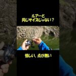 どうやって飲み込むの？、バス釣りあるある、ルアーとサイズが同じ、おなじみの魚【#Shorts】