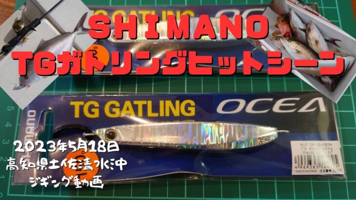 ＳＨＩＭＡＮＯ【TGガトリング】使ってみました。青物が結構釣れました！