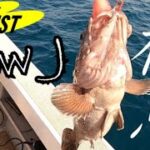 根魚！スロージギング！隠岐の島沖～遊漁船TRUST