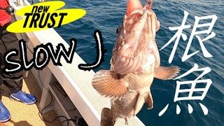 根魚！スロージギング！隠岐の島沖～遊漁船TRUST