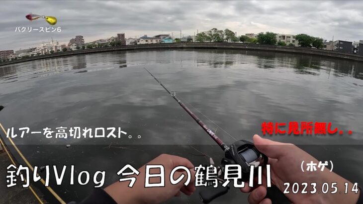 シーバス釣りVlog 今日の鶴見川 2023年5月14日（ホゲ）高切れロスト。。