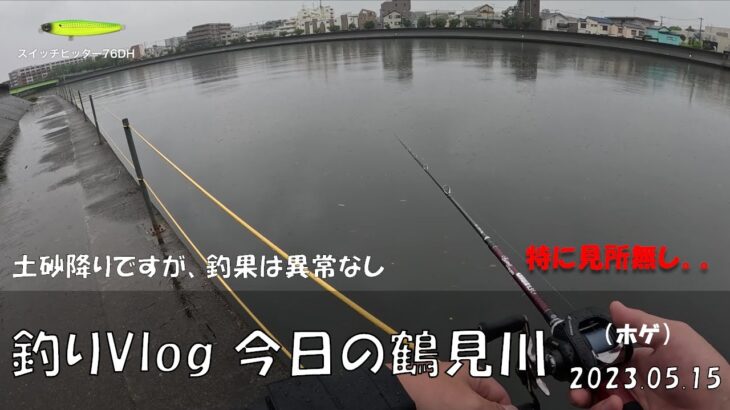 シーバス釣りVlog 今日の鶴見川 2023年5月15日（ホゲ）土砂降りですが釣果異常なし