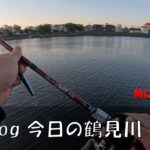 シーバス釣りVlog 今日の鶴見川 2023年5月2日（ホゲ） Beams LOWER 8.6Lを使用したライトタックルでシーバスを狙う