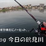 シーバス釣りVlog 今日の鶴見川 2023年5月22日（ホゲ）3週間経ちましたがいまだにノーキャッチ。。