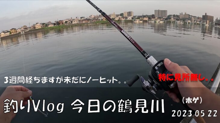 シーバス釣りVlog 今日の鶴見川 2023年5月22日（ホゲ）3週間経ちましたがいまだにノーキャッチ。。