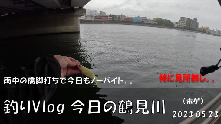 シーバス釣りVlog 今日の鶴見川 2023年5月23日（ホゲ）雨中の橋脚打ち。今日も成果なし