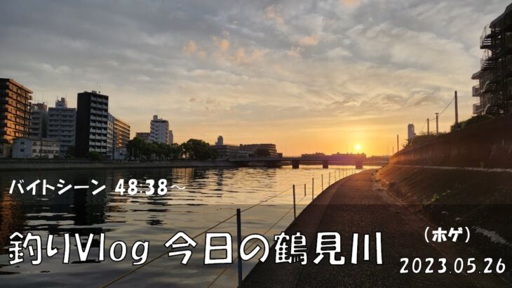 シーバス釣りVlog 今日の鶴見川 2023年5月26日（ホゲ）今日も橋脚打ちでバイトあり