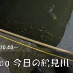 シーバス釣りVlog 今日の鶴見川 2023年5月30日（1キャッチ）やっときた。。エアオグル70SLMで75cm