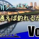 多摩川シーバス、何回通えば釣れるかな？ Vol.1【小波津の釣り動画01】