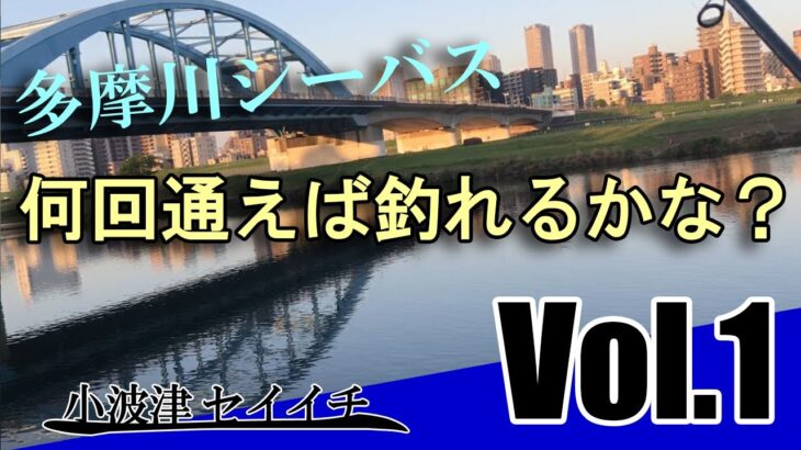 多摩川シーバス、何回通えば釣れるかな？ Vol.1【小波津の釣り動画01】