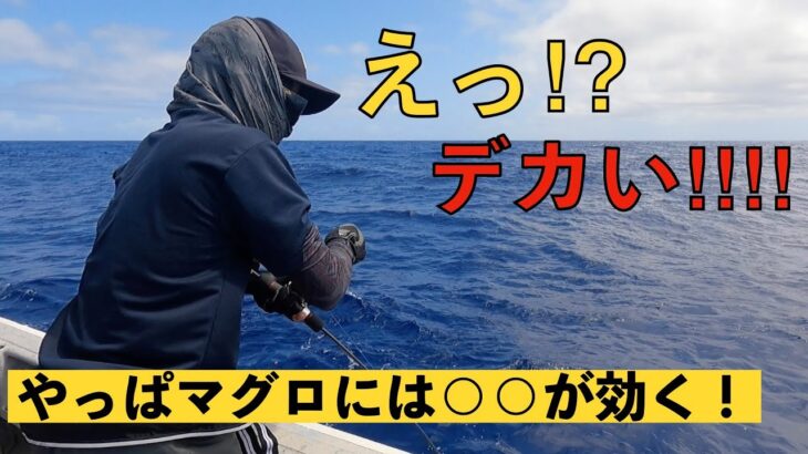 【キハダマグロ】ドラグが止まらない…キハダジギングは意外と簡単！【小笠原 父島 ぎょうてん丸】Yellowfin Tuna Jigging