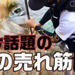 【エギング】魅了して狂わす納得のエギ！ egging squid