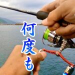 【エギング】このエギに助けられています。egging squid