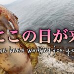 釣りウマに教えて貰えば釣れるんだよ！春イカはこうやって釣るのか！in 山陰