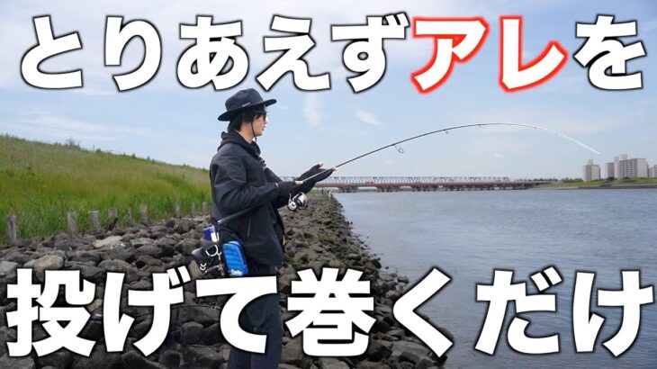 【クロダイ】投げて巻くだけ！クロダイ釣り方解説 in 旧江戸川