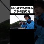 アジング初心者必見！鯵の釣り方を１分で解説します。 #shorts