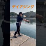 爆釣デイアジング #shorts #shimano #アジング