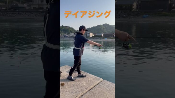 爆釣デイアジング #shorts #shimano #アジング