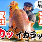 【エギング】怒涛の超デカッイカラッシュ　デカイカのアタリをラインで捉えよ　squid fishing 1080画質推奨