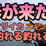 春開幕！春イカ難しく考えちゃダメ！ドツボにハマっちゃう！