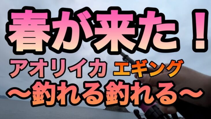 春開幕！春イカ難しく考えちゃダメ！ドツボにハマっちゃう！