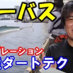 【シーバス】岸壁で釣果を上げるバイブレーションダートのコツ【村岡昌憲】