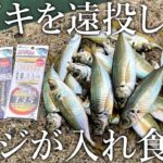 【コマセ不要】サビキだけでアジが爆釣する［投げサビキ釣法］がスゴすぎました！