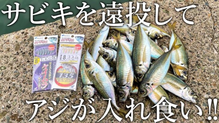 【コマセ不要】サビキだけでアジが爆釣する［投げサビキ釣法］がスゴすぎました！