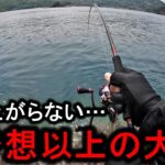 エギングタックルに突如現れた大型魚が掛かり、圧倒的パワーでぶち曲げられる…