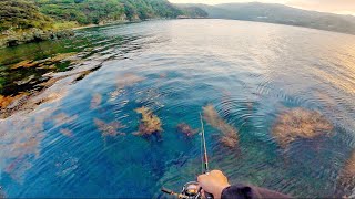 【春のアジング】海藻だらけの場所にワームを落とすと…大アジが入れ食い！独身男の釣り旅。